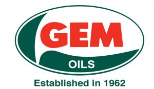 gem-logo-300x174