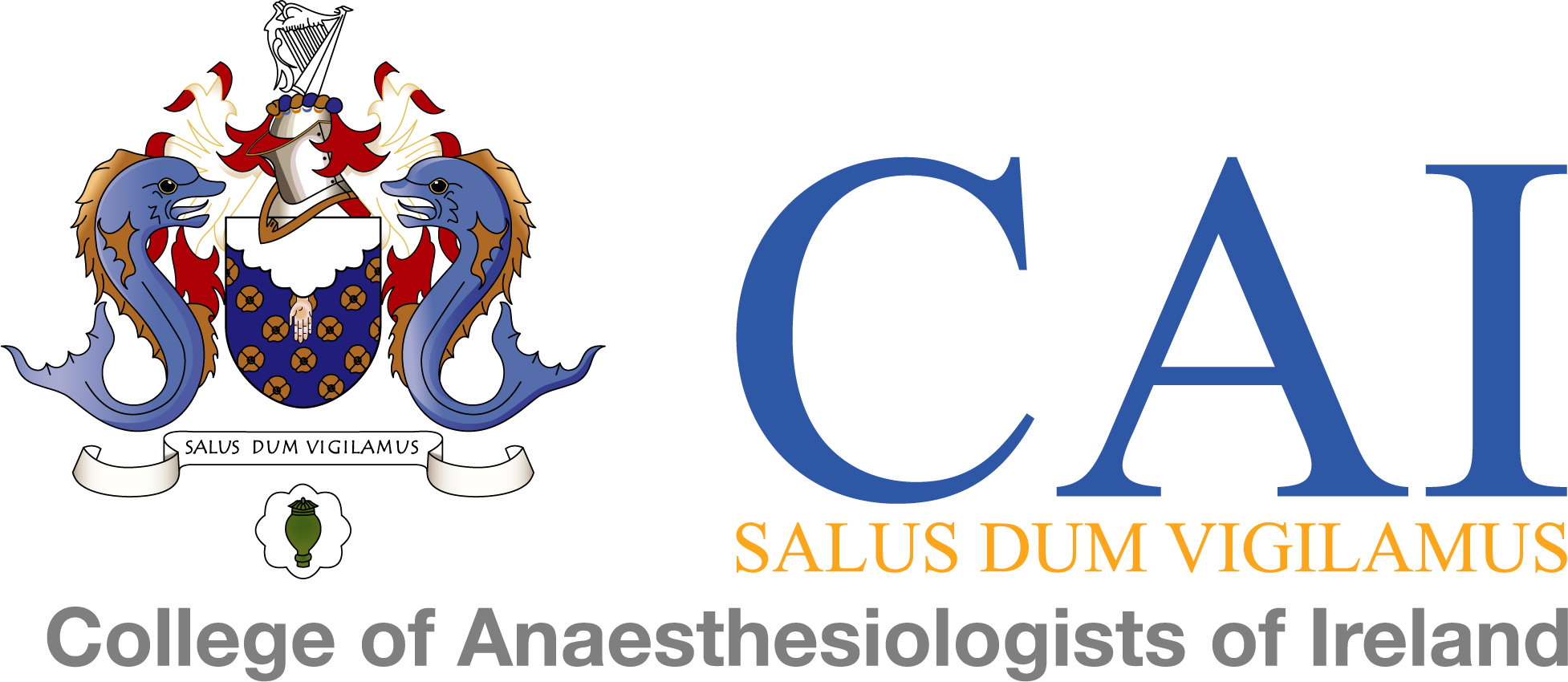 CAI Logo_COLOUR_LARGE NEW